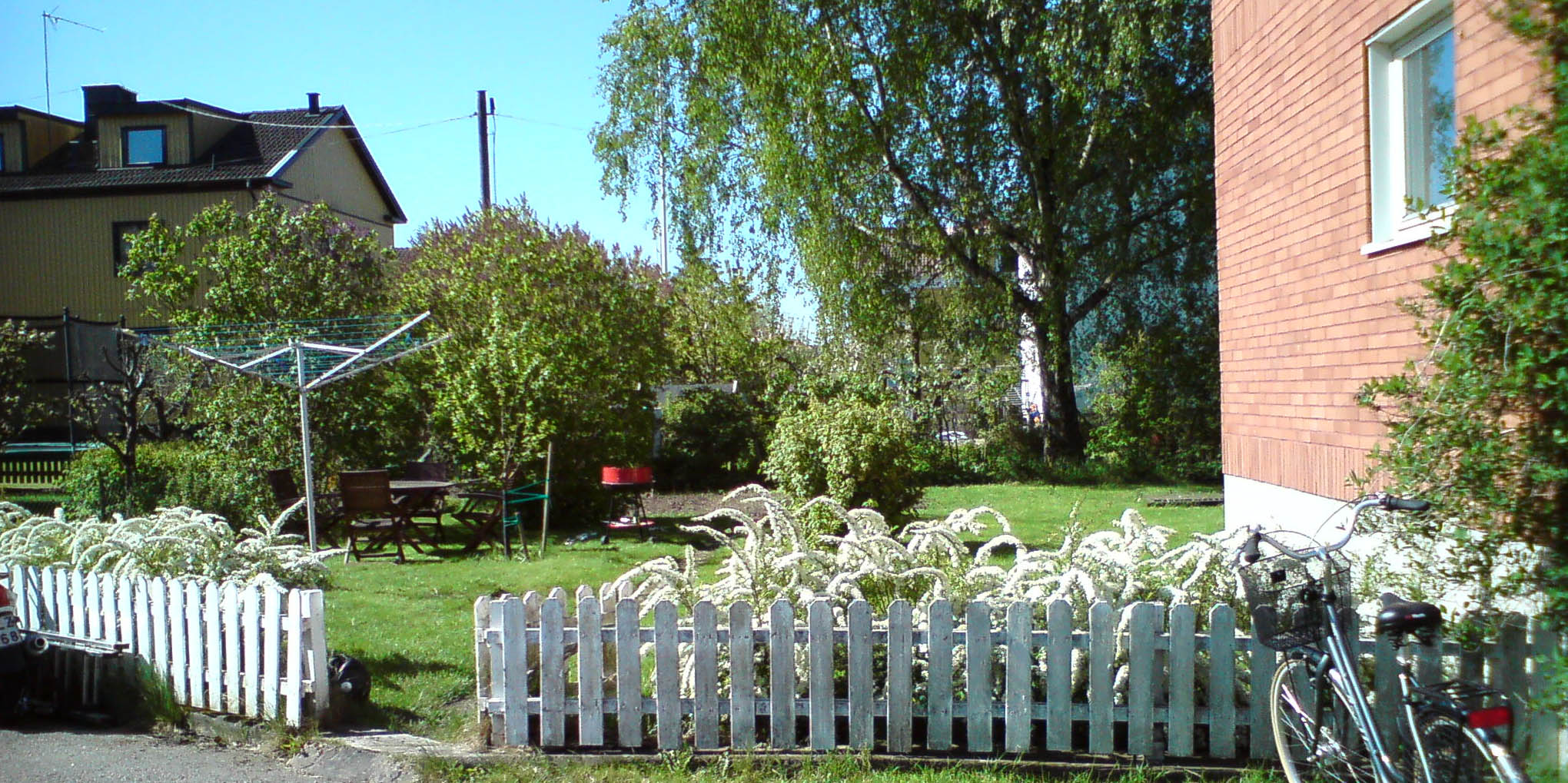 Trädgården